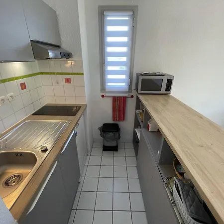 Pour 4 Pers, Proche Plage, Animaux Admis - Saint-cyprien - Fr-1-106-91