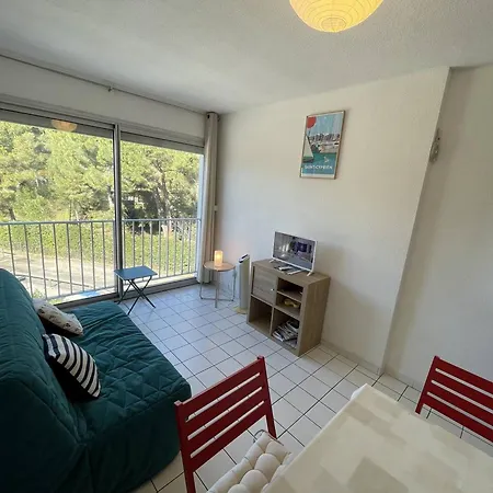 아파트 Pour 4 Pers, Proche Plage, Animaux Admis - Saint-cyprien - Fr-1-106-91 *