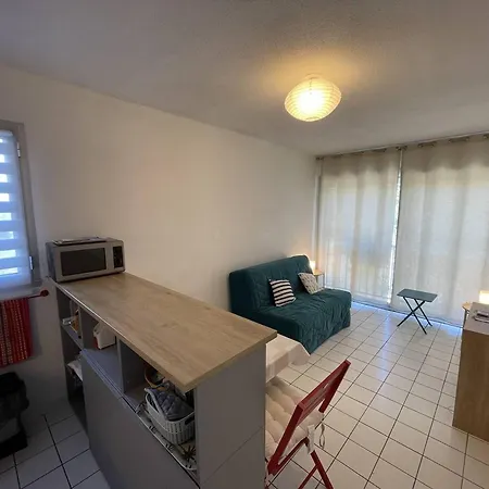아파트 Pour 4 Pers, Proche Plage, Animaux Admis - Saint-cyprien - Fr-1-106-91 *