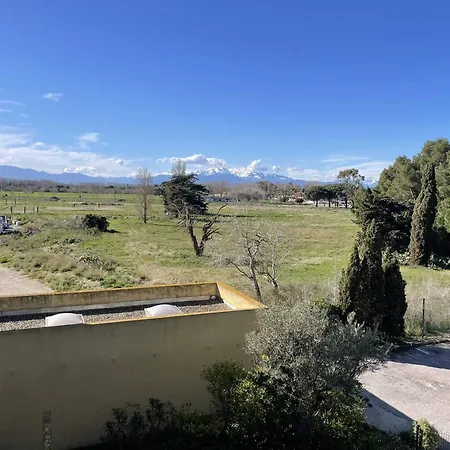 Pour 4 Pers, Proche Plage, Animaux Admis - Saint-cyprien - Fr-1-106-91 *