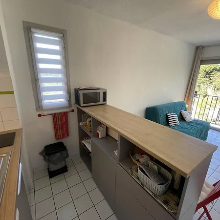 Pour 4 Pers, Proche Plage, Animaux Admis - Saint-cyprien - Fr-1-106-91
