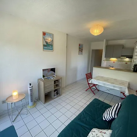 Pour 4 Pers, Proche Plage, Animaux Admis - Saint-cyprien - Fr-1-106-91 아파트 *